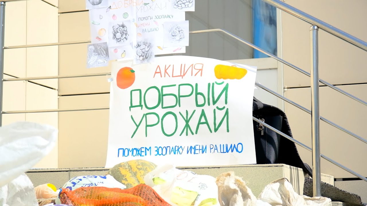 Добрый урожай