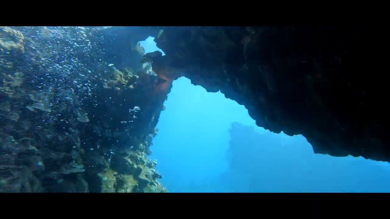 Kauai Dives 2024