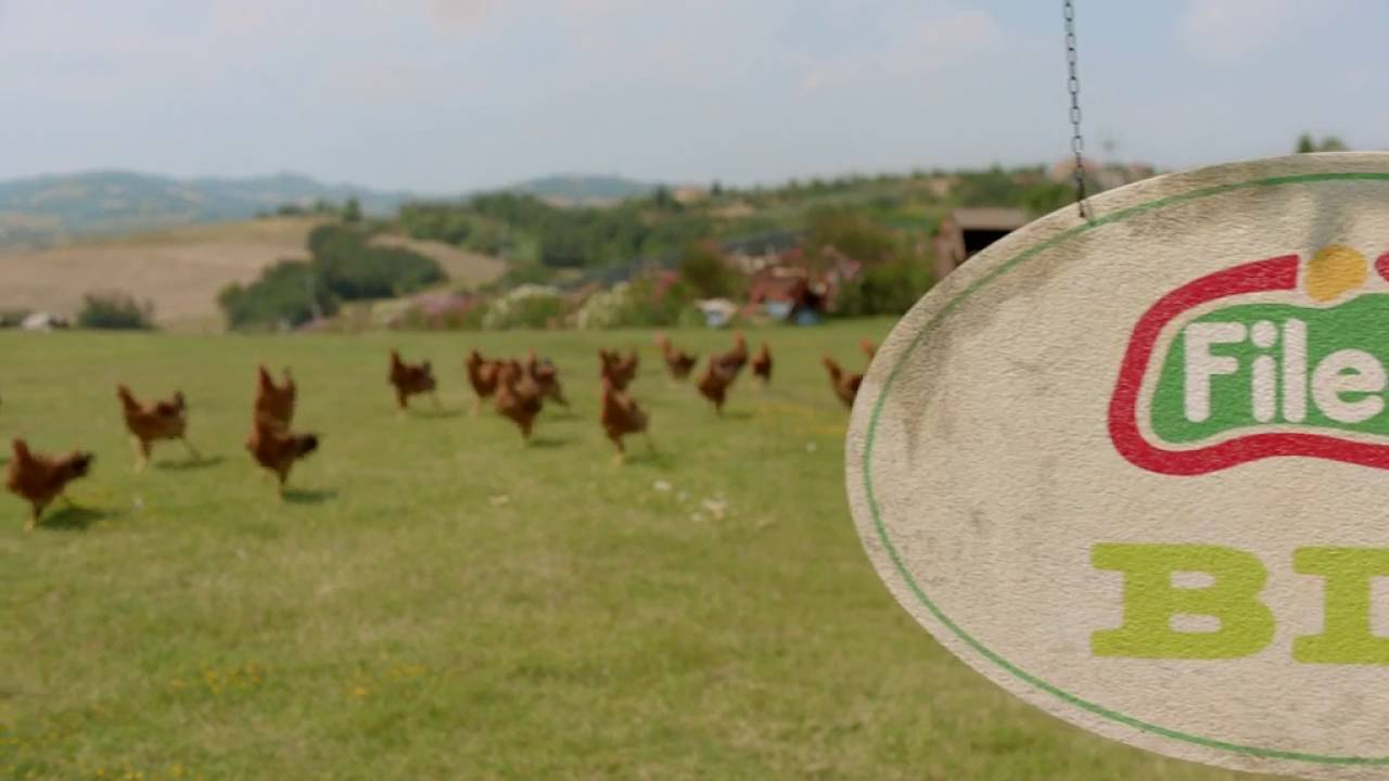 Cosa c'è dietro una cotoletta di pollo Fileni BIO? - Spot TV 30''