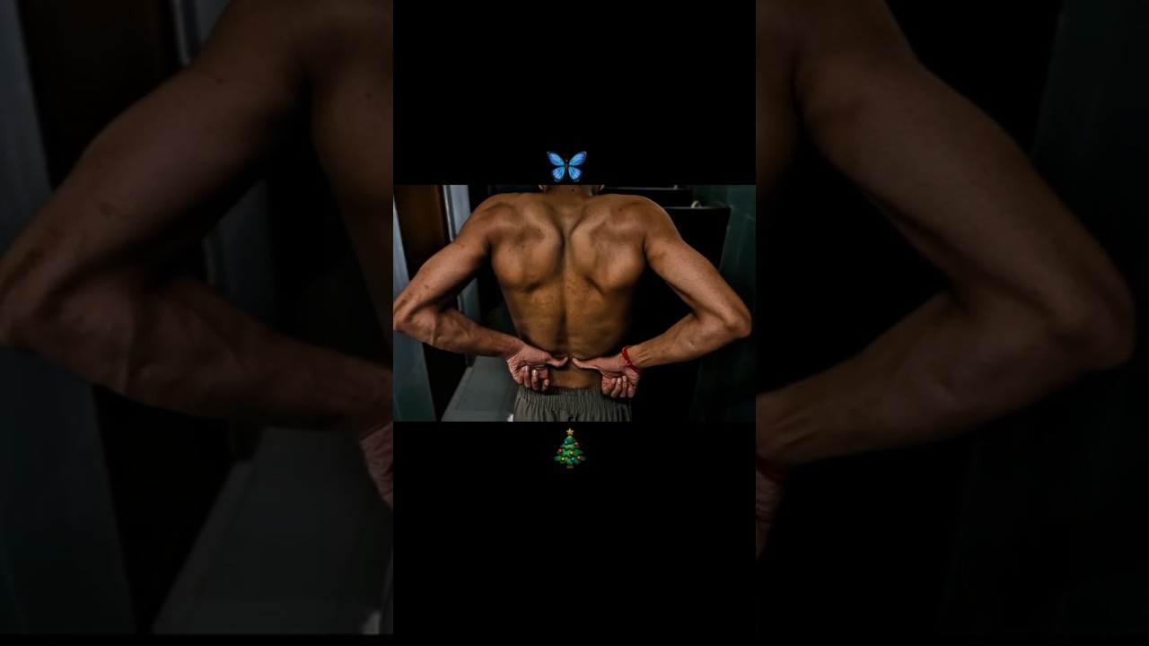 Butterfly on a Christmas tree it is!!. #shortsvideo #motivation #lifeisbutadream #viral