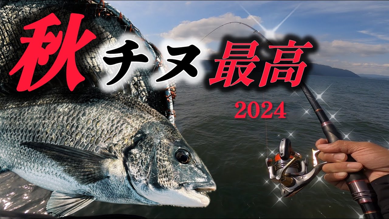 【チヌ釣り】暑さもブッ飛ぶ！秋チヌ狙いが最高だー！！