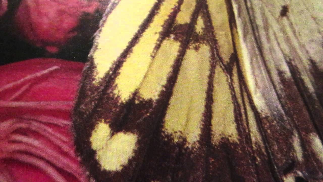 Развивающие игры. Игра