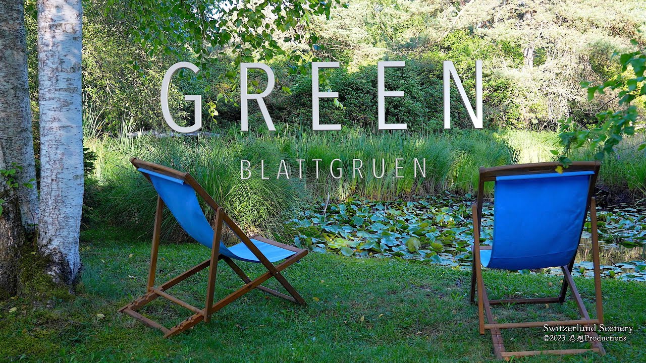 4K Blattgr&uuml;n Green Paradise Z&uuml;rich SWITZERLAND スイス