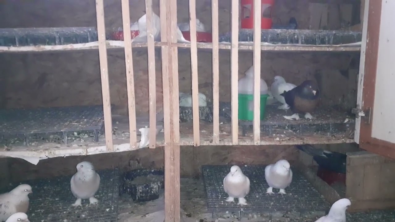 Kardeşim çok emek veriyor maşallah 