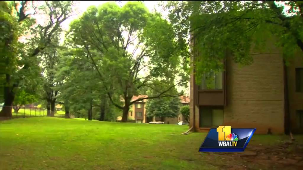 Man in BB gun incident at Dulaney High School arrested again