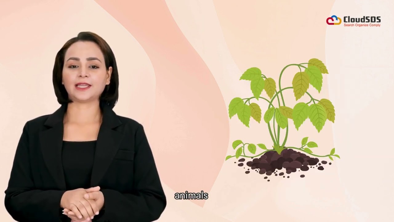 How chemical waste harms the environment.