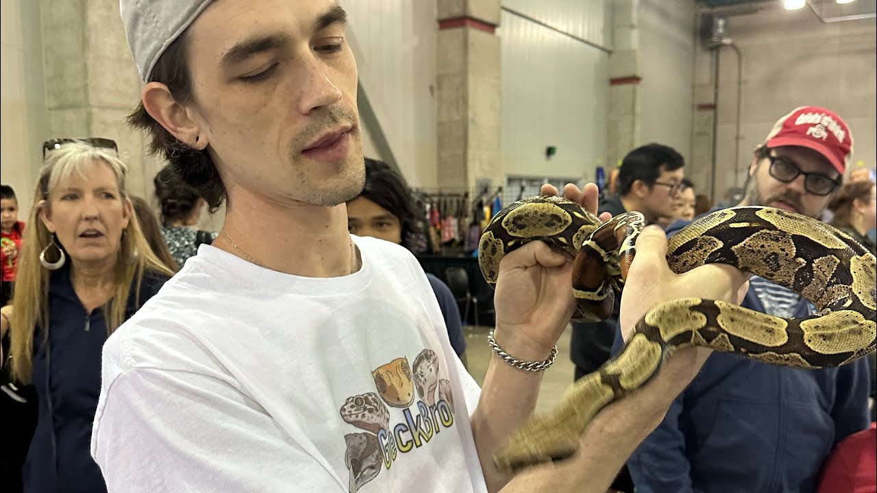 I went to the Sacramento reptile show and bought a rare iguana $$$
