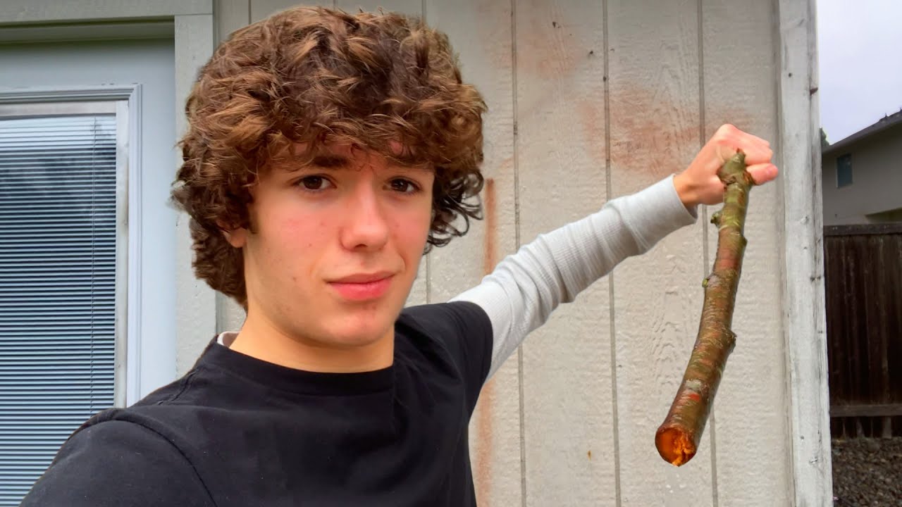 Stick Collecting Stereotypes