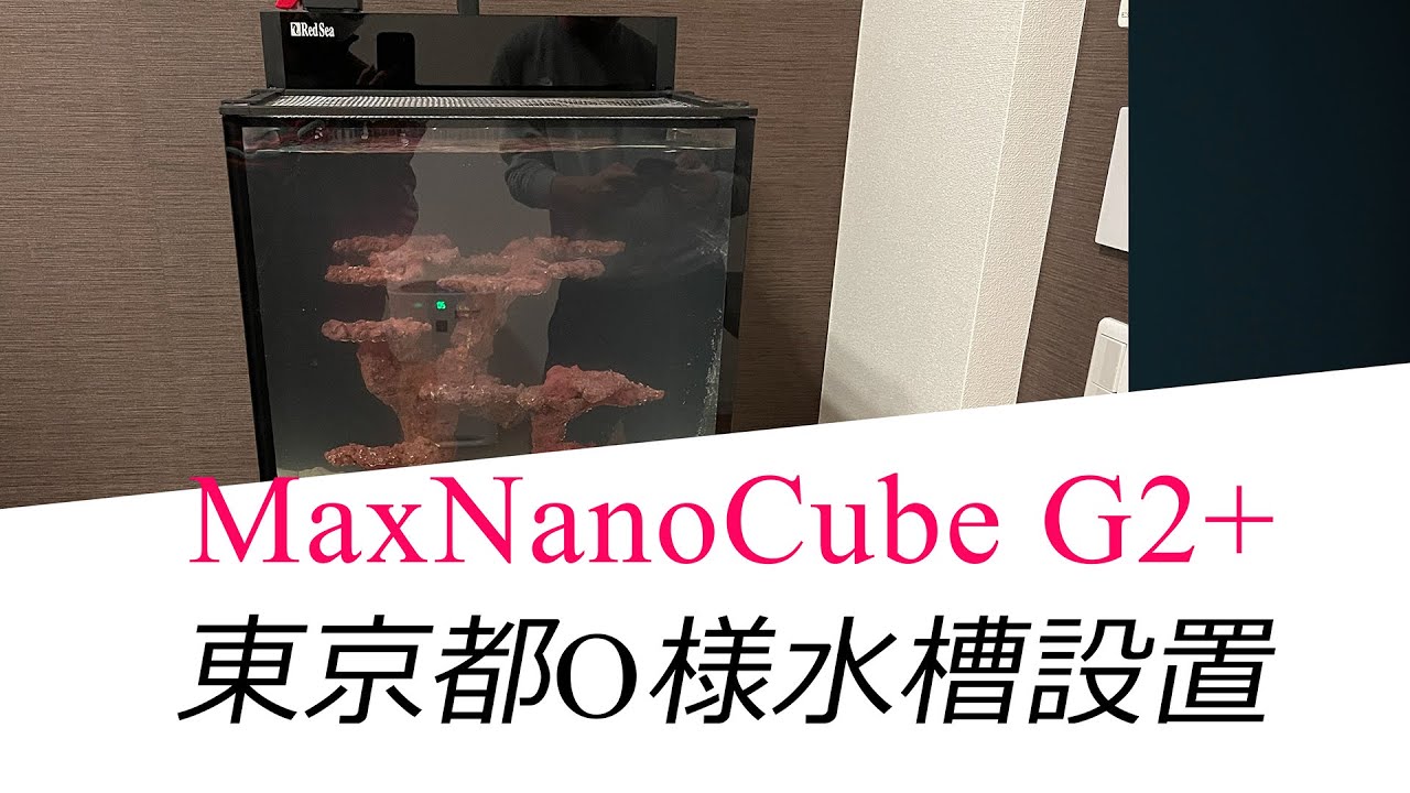 東京都O様　レッドシーマックスナノキューブG2+水槽設置