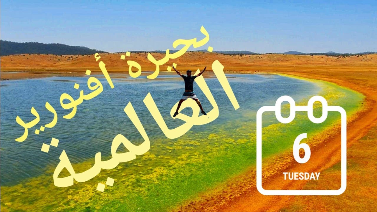 بحيرة افنورير العالمية