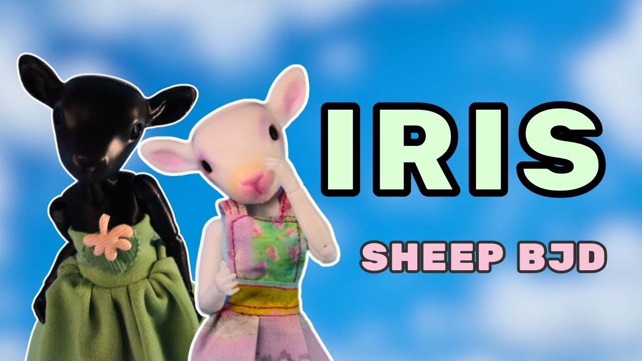 I made an Anthro BJD and I love it!!! | +Convention other Anime North Exclusive BJDs
