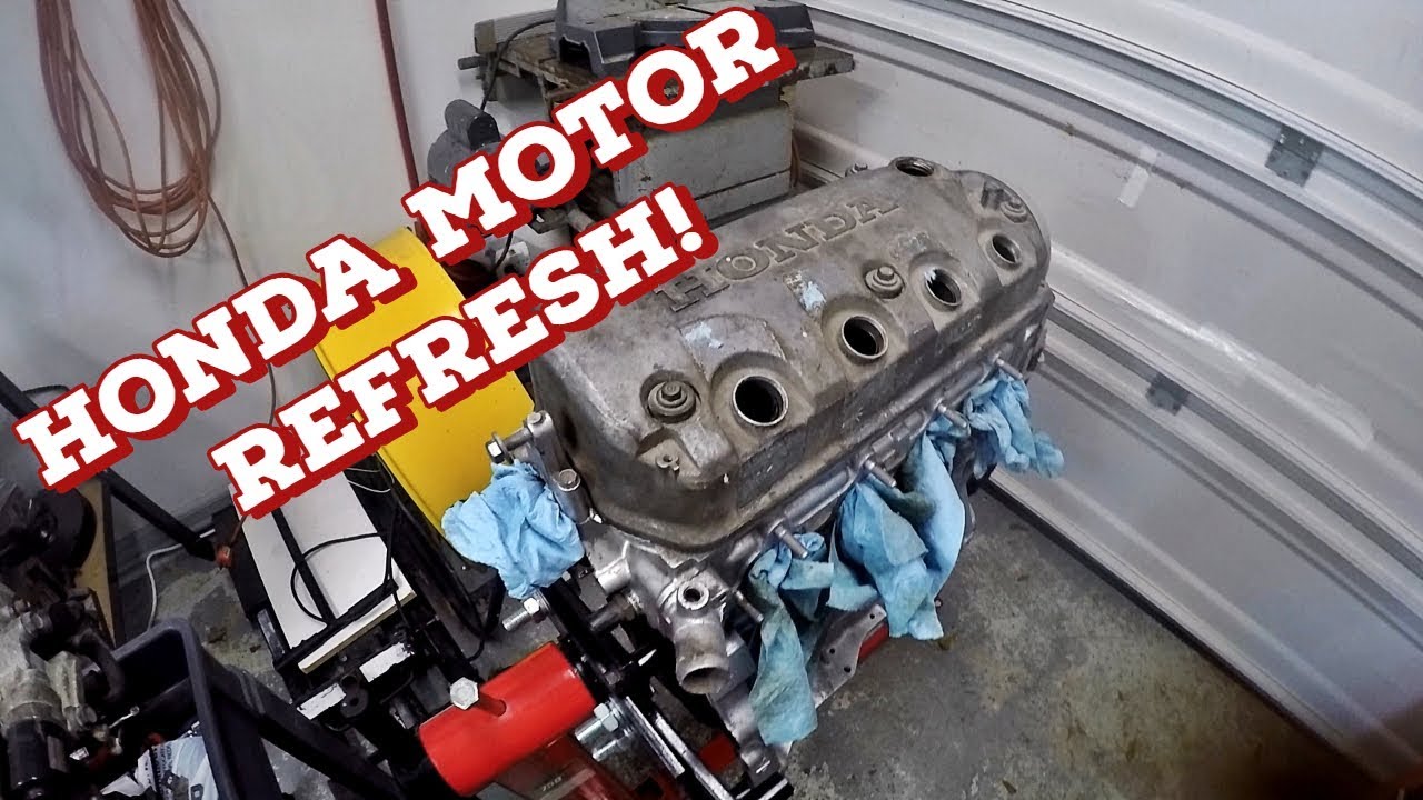 Honda Engine Refresh | Making a D16 look good!