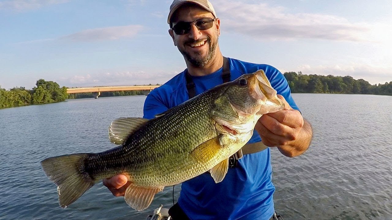Finesse Bass Fishing Deep Grass (Drop Shot/Shaky Head)