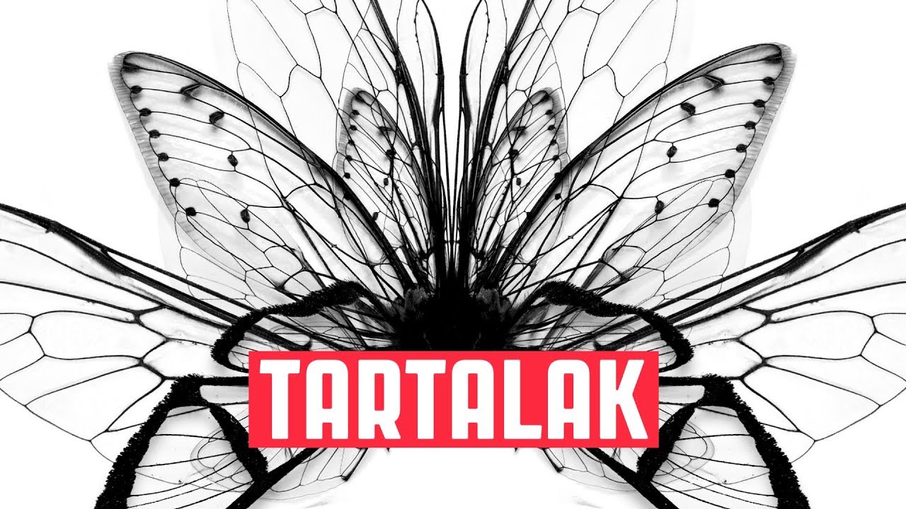 Vad Fruttik - Tartalak