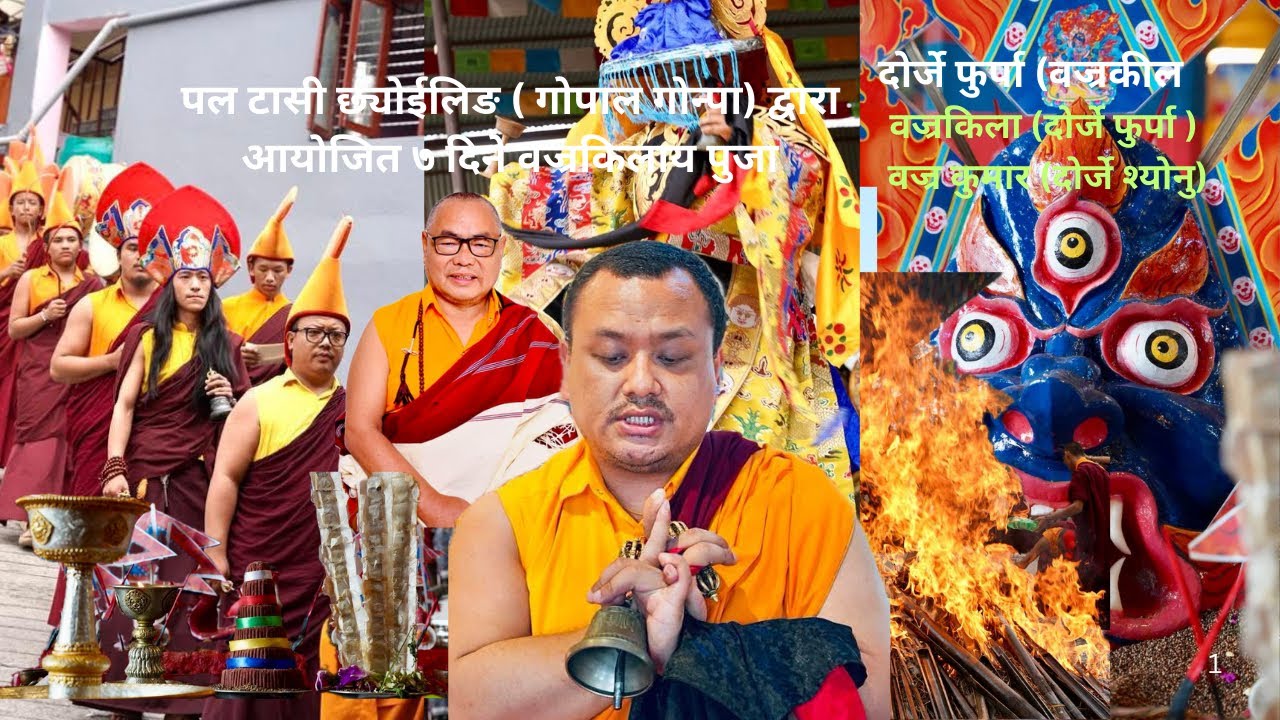 पल टासी छ्योईलिङ ( गोपाल गोन्पा) द्वारा  आयोजित ७ दिने वज्रकिलाय पुजा। 🙏💐☸️