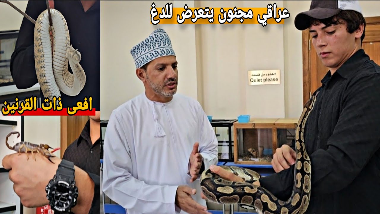دخلت اخطر مختبر لزواحف السامة في سلطنة عمان _