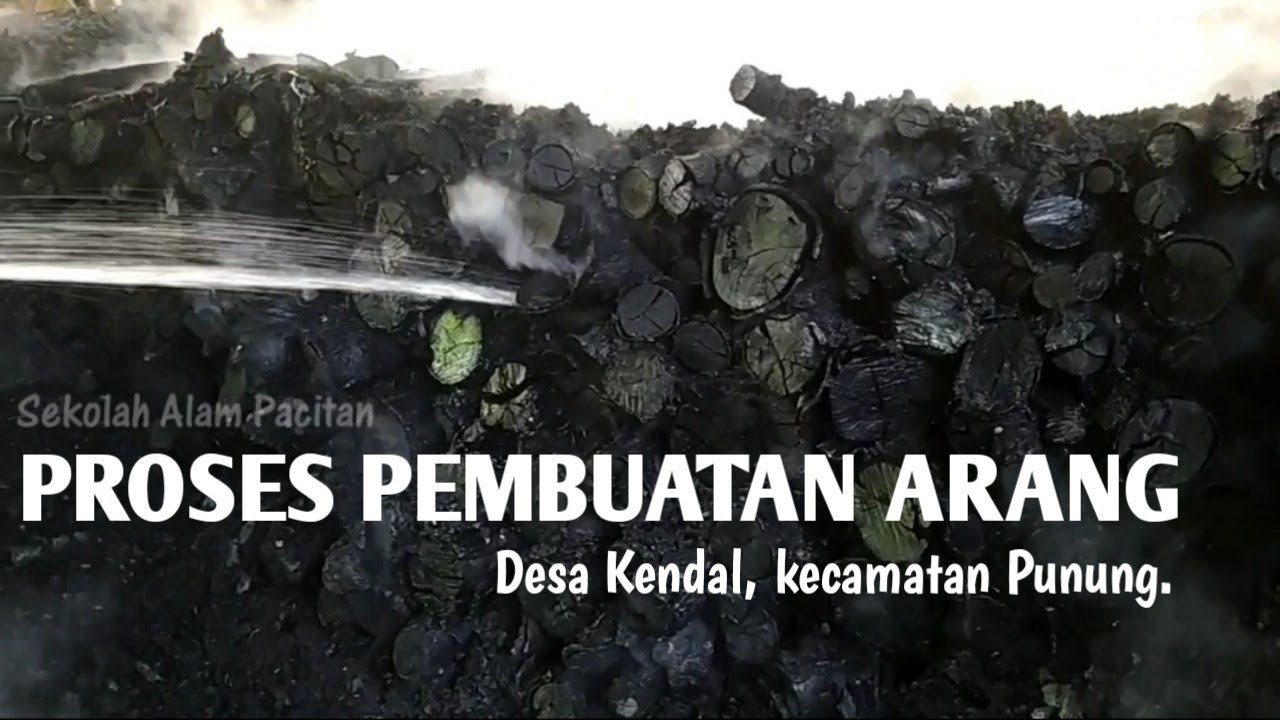 PROSES PEMBUATAN ARANG di Desa Kendal, Kec. Punung - jelajah alam pacitan