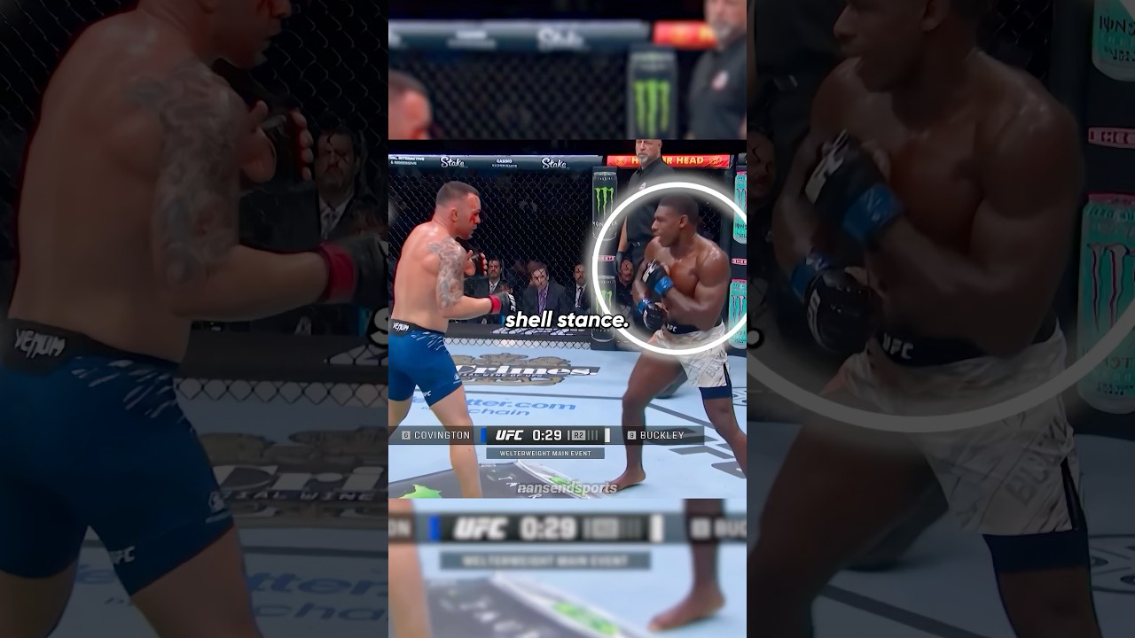 Philly Shell in MMA 🐢🤯 #ufc