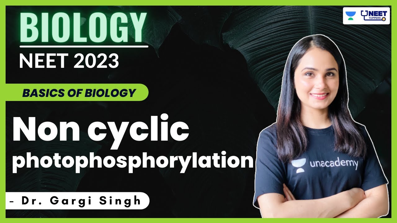 Non Cyclic Photophosphorylation | Biology | NEET 2023 | Dr. Gargi Singh | Unacademy NEET Toppers