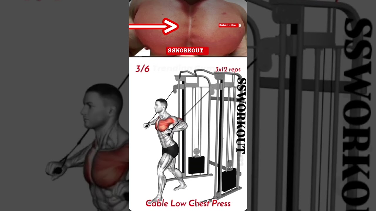 #chestworkout
