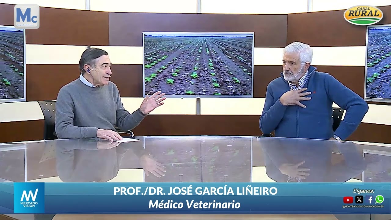 JORNADAS HOSPITALARIAS EN MEDICINA EQUINA. - PROF./DR.  JOSÉ A  GARCÍA LIÑEIRO