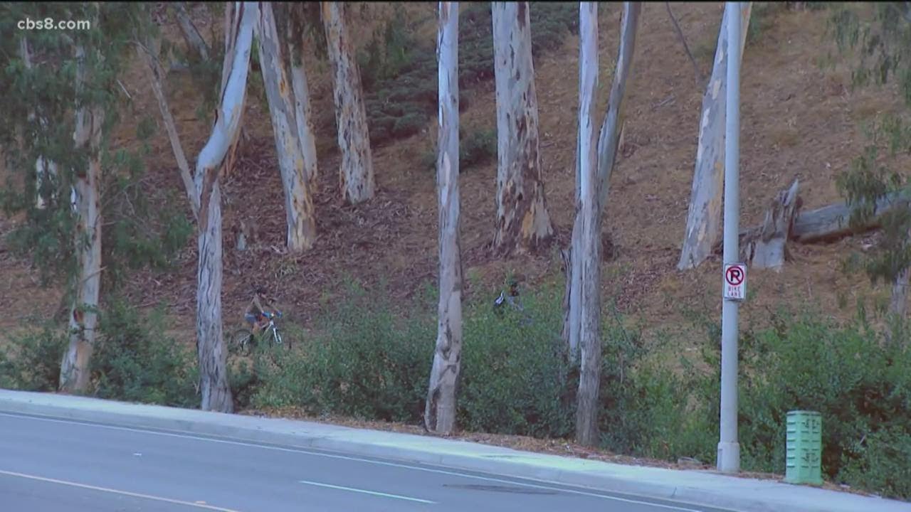 Carlsbad Police say woman who was found dead on trail was stabbed