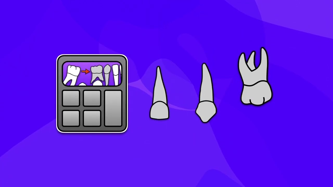 Introducing the Space Maintenance Calculator