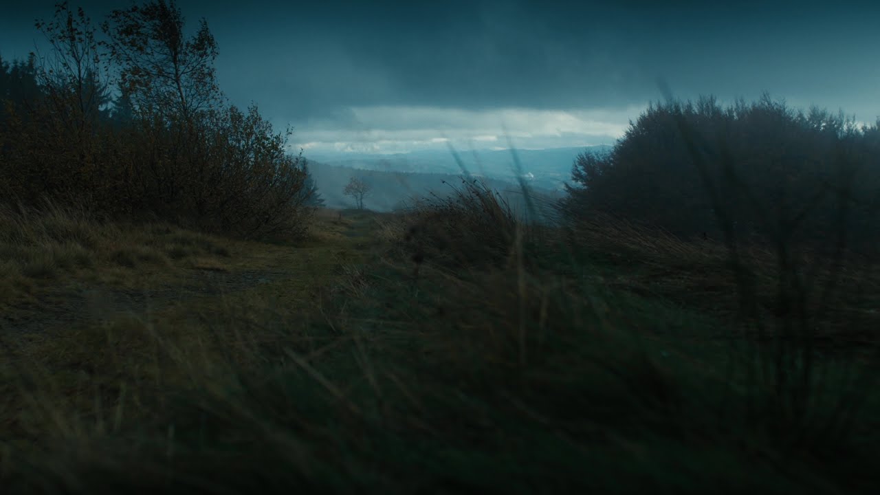 Moody autumn | Shot on BMPCC6K pro and Samyang 24mm T1.5 VDSLR MK2 lens with 1/4 Black Mist