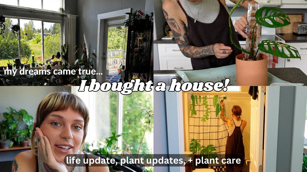 I moved with my 200 plants (again!) | plant updates + chores in my new house 🥹🌿🩵