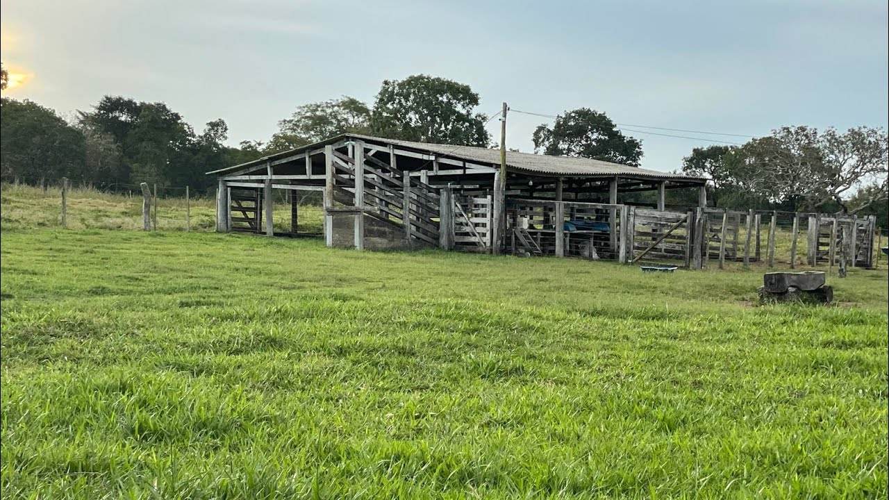 Fazenda a venda no Tocantins em Paraíso do To#pecuaria#lazer