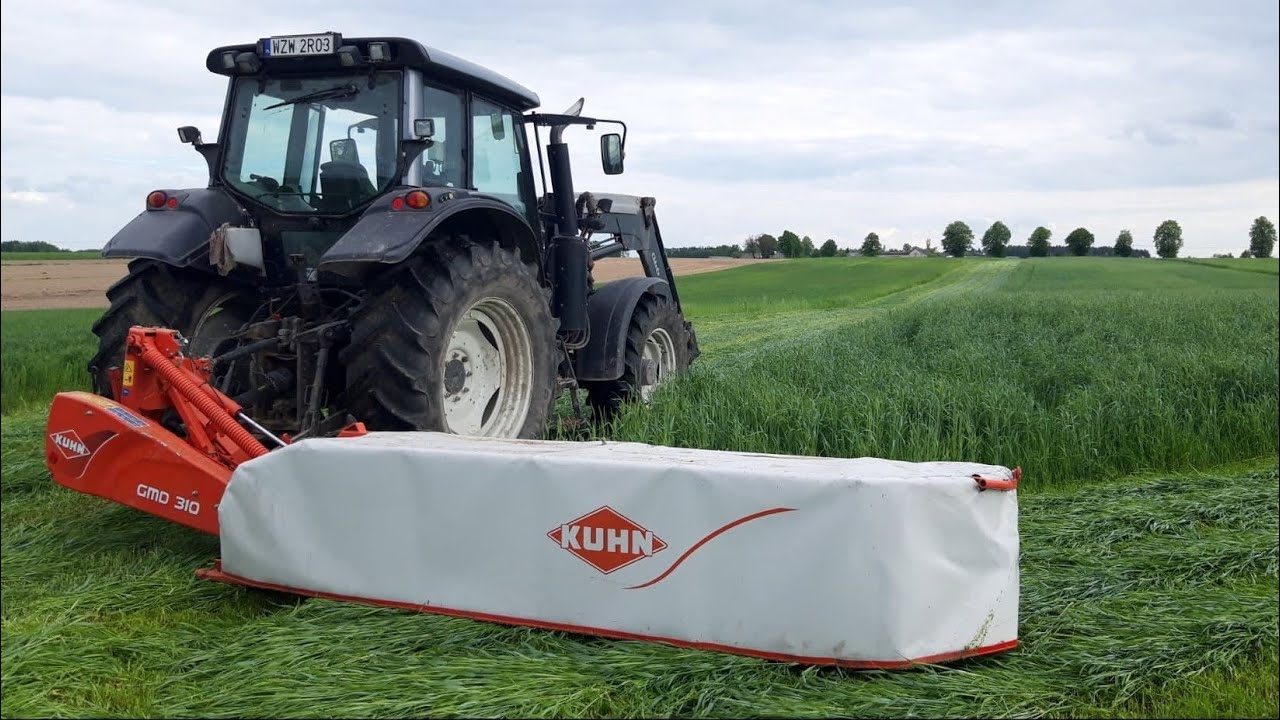 Koszenie żyta na kiszonke 2021 - Valtra n123 & Kuhn GMD 310 - Vlog #10