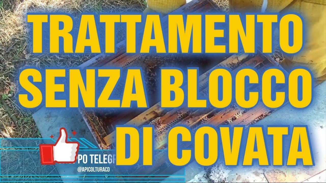 Apicoltura CD: Trattamento tampone combinato senza blocco di covata