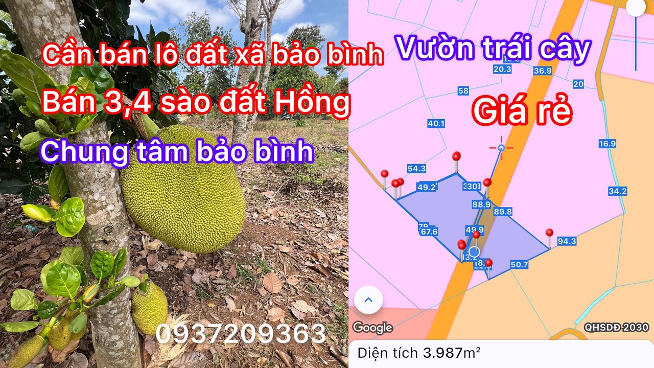 Chủ cần bán lô đất vườn cây ăn trái đất Hồng thích hợp làm nhà vườn nghĩ dưỡng xã bảo bình 3 sào