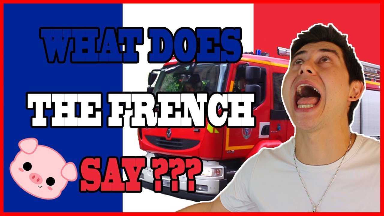 FRENCH VERSUS ENGLISH ONOMATOPOEIA