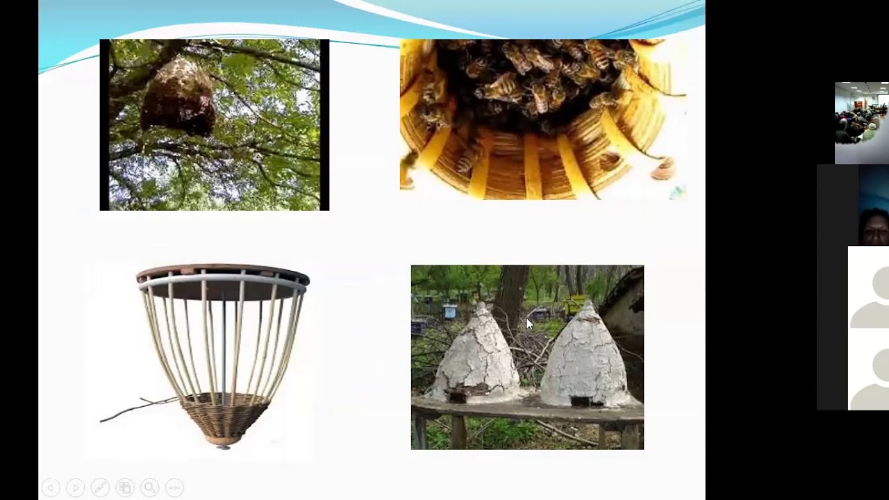 Типови на кошници во пчеларството - Костадин Марушков