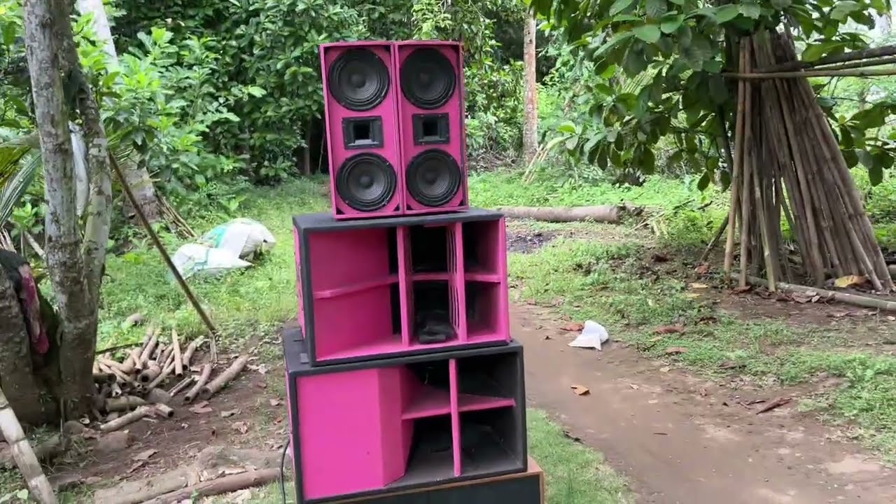 TEST SPEAKER FEST 12HS300 // BOX VAKUM SUPALI & F1