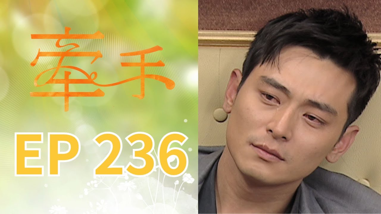 牽手 EP236 The Other Hands｜三立台劇