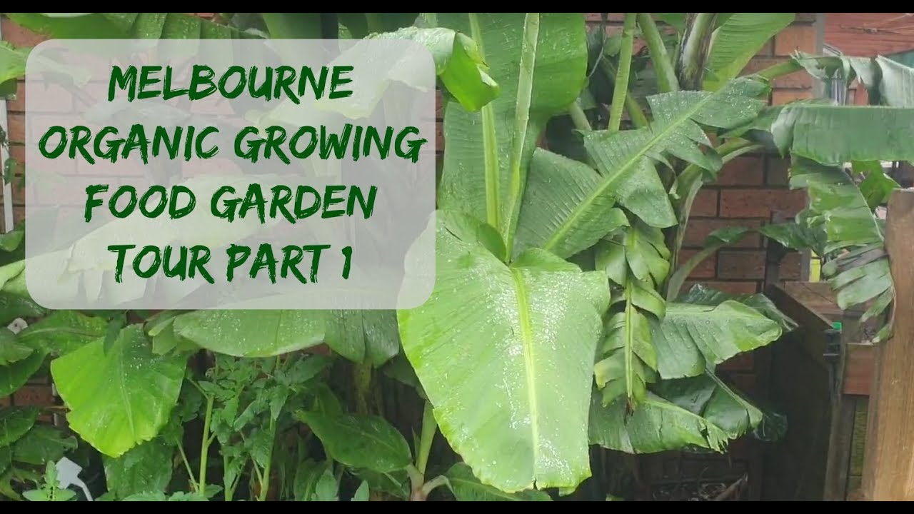 Melbourne organic food garden tour part 1