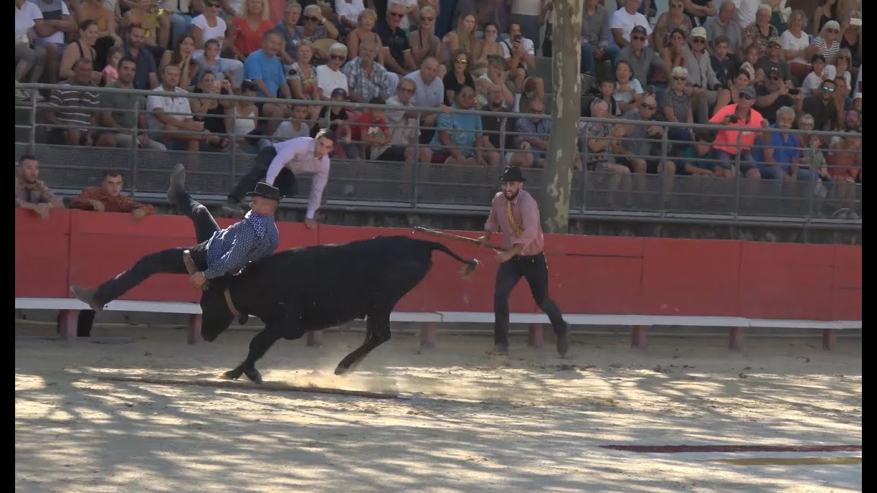 🐂 40 ans de la manade ALAIN (partie1) 🐂