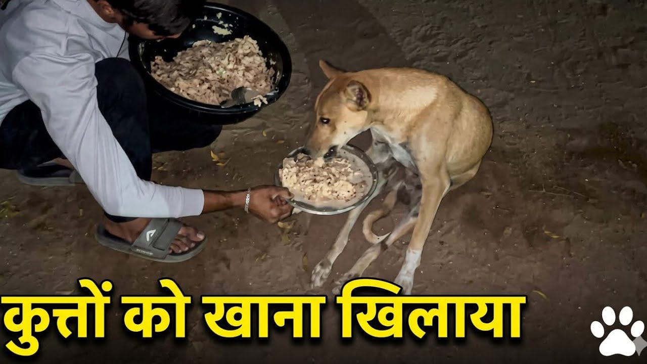 रोज़ का खाना… और बन गया सच्चा रिश्ता।🫶❤️