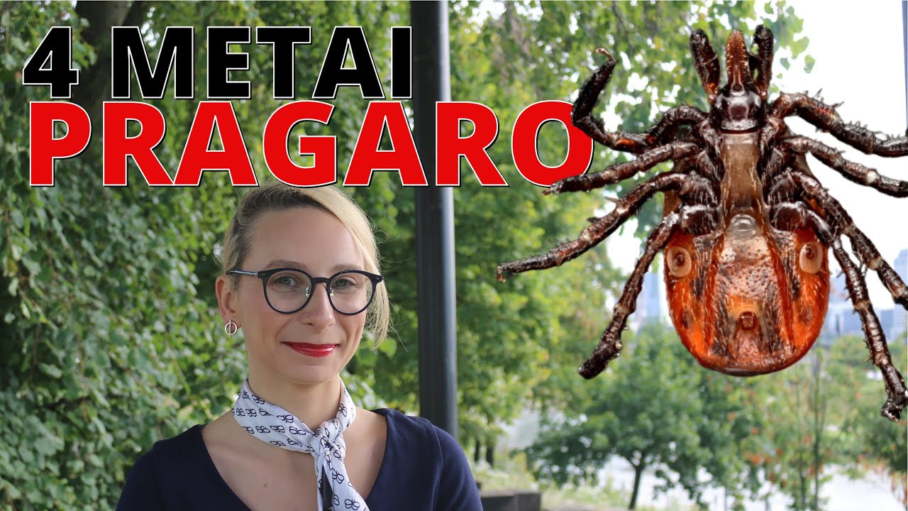 Laimo liga Vaidos gyvenimą pavertė pragaru