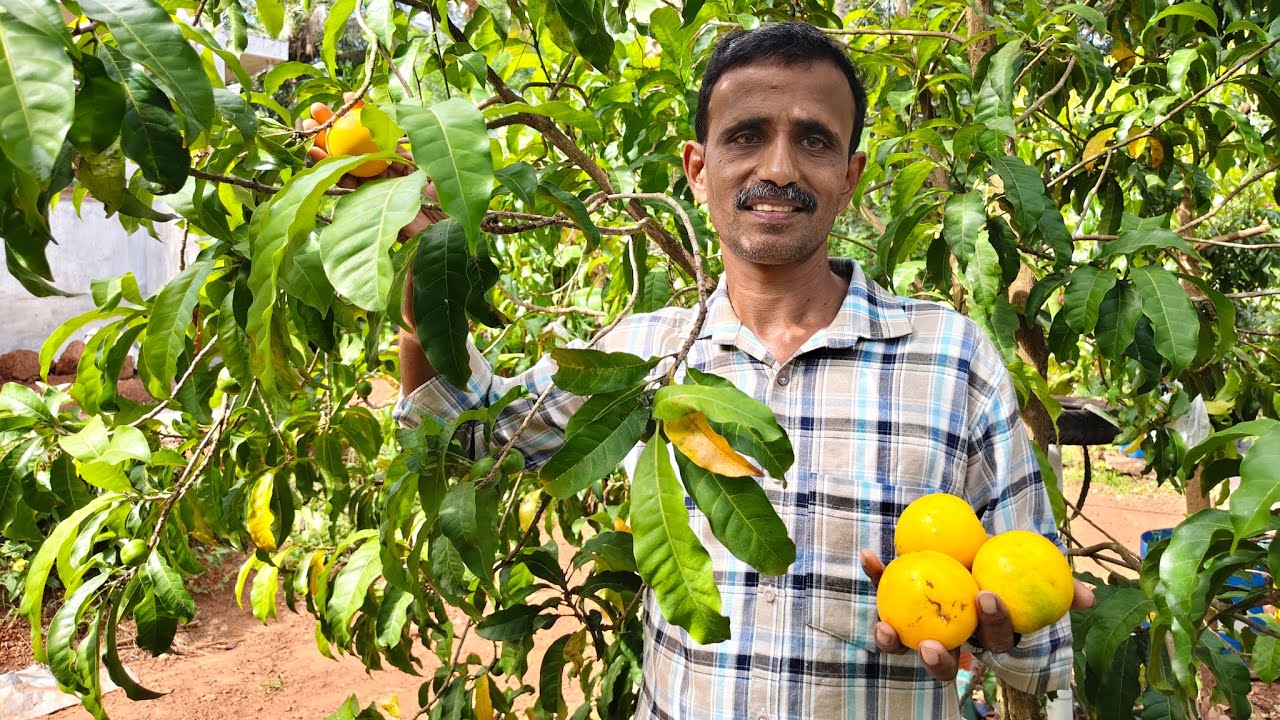 അഭിയു കൃഷിയിൽ അറിഞ്ഞിരിക്കേണ്ട കാര്യങ്ങൾ 