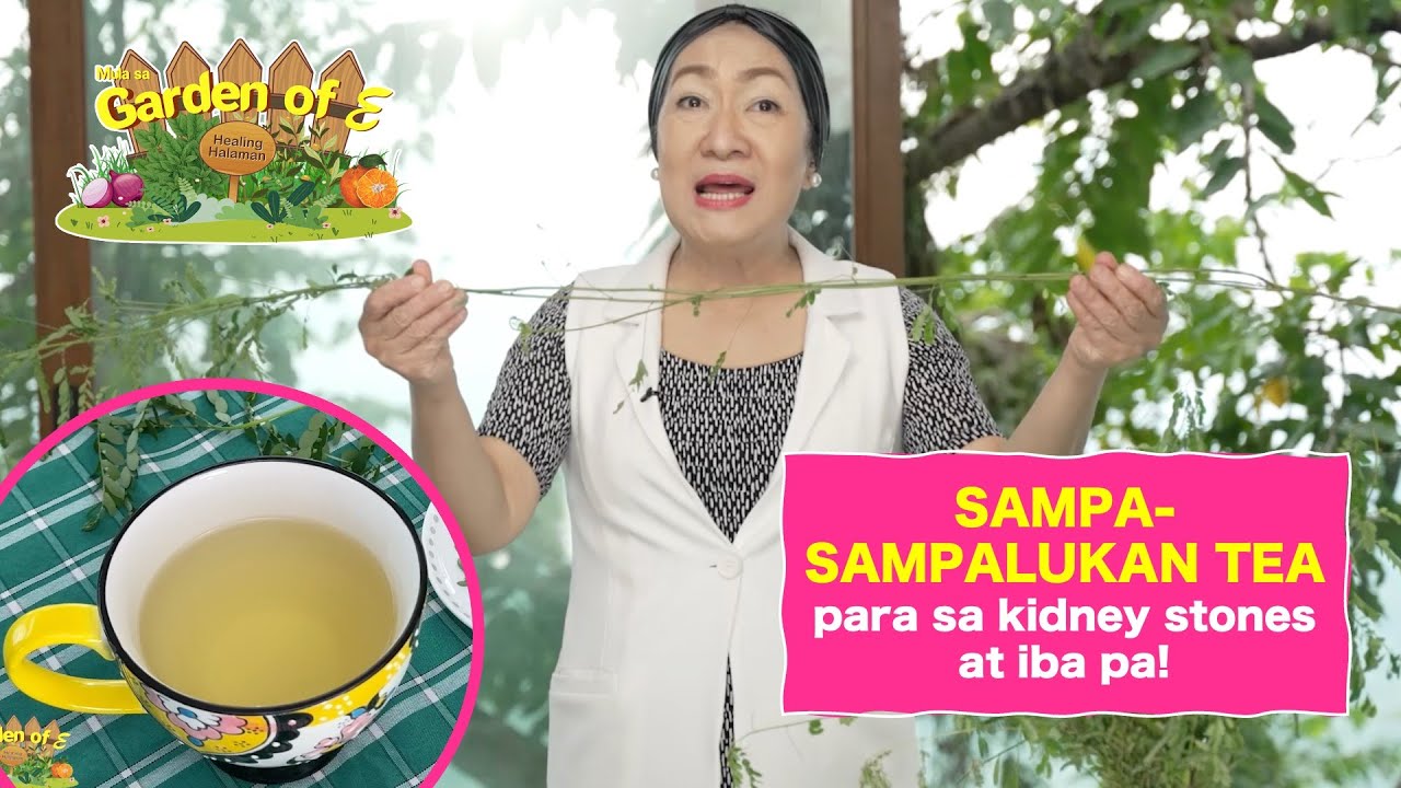 Garden of E: Sampa-sampalukan Tea para sa Kidney Stones at iba pa!