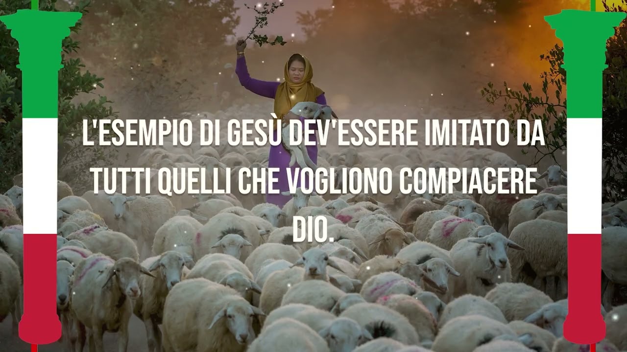 PRENDITI CURA DELLE TUE PECORE