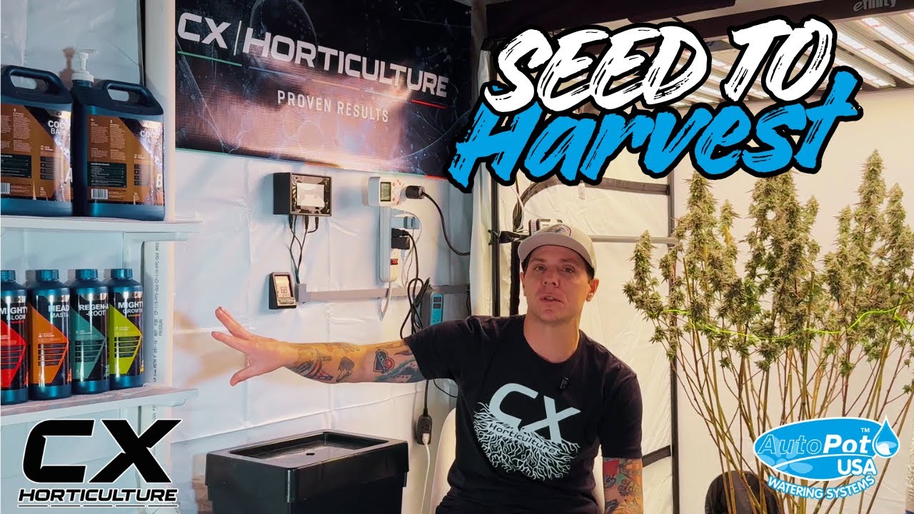 AutoPot + CX Horticulture - Seed to Harvest (Full Grow)