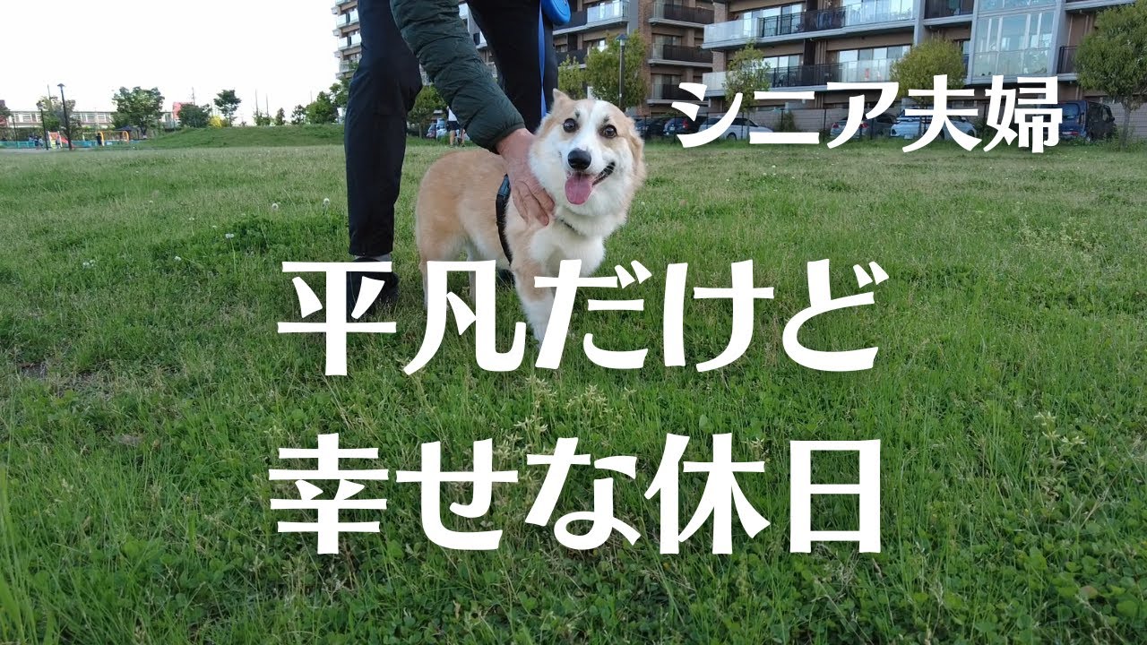 【休日】モーニング/肉じゃが/コアフォース/シニアvlog