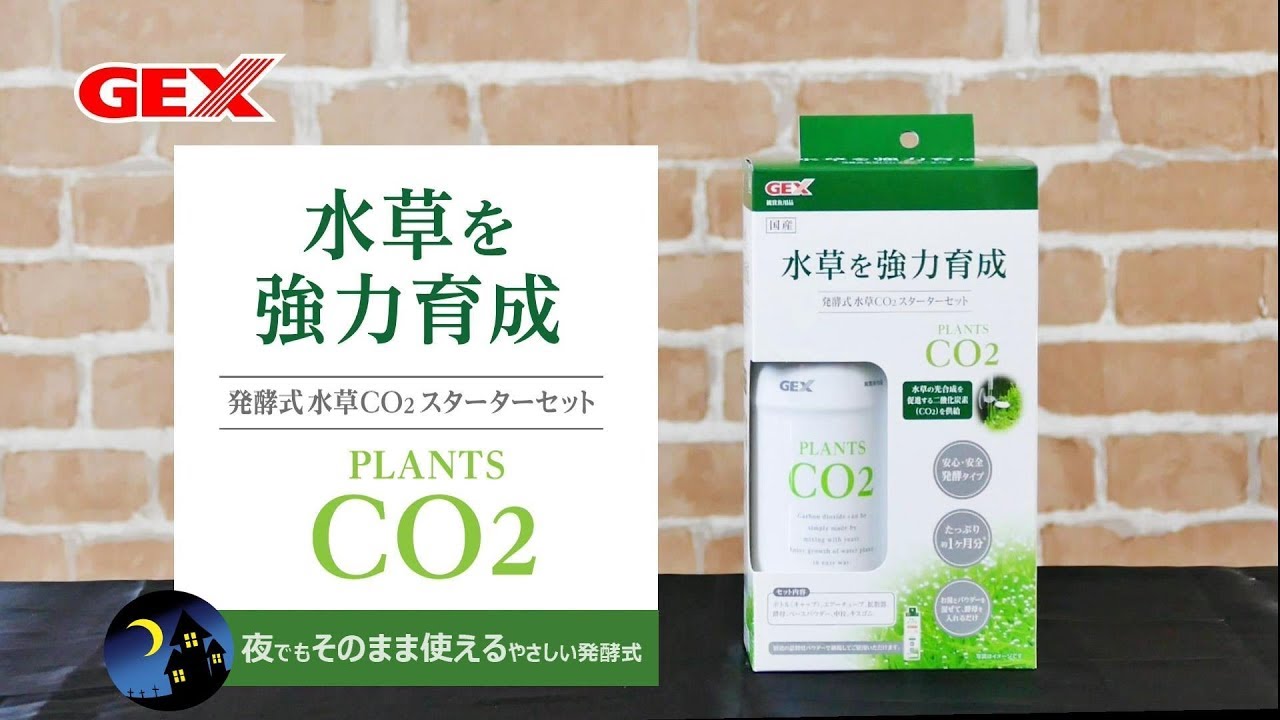 2019年新商品！やさしくCO2を発生させる発酵式スターターキット