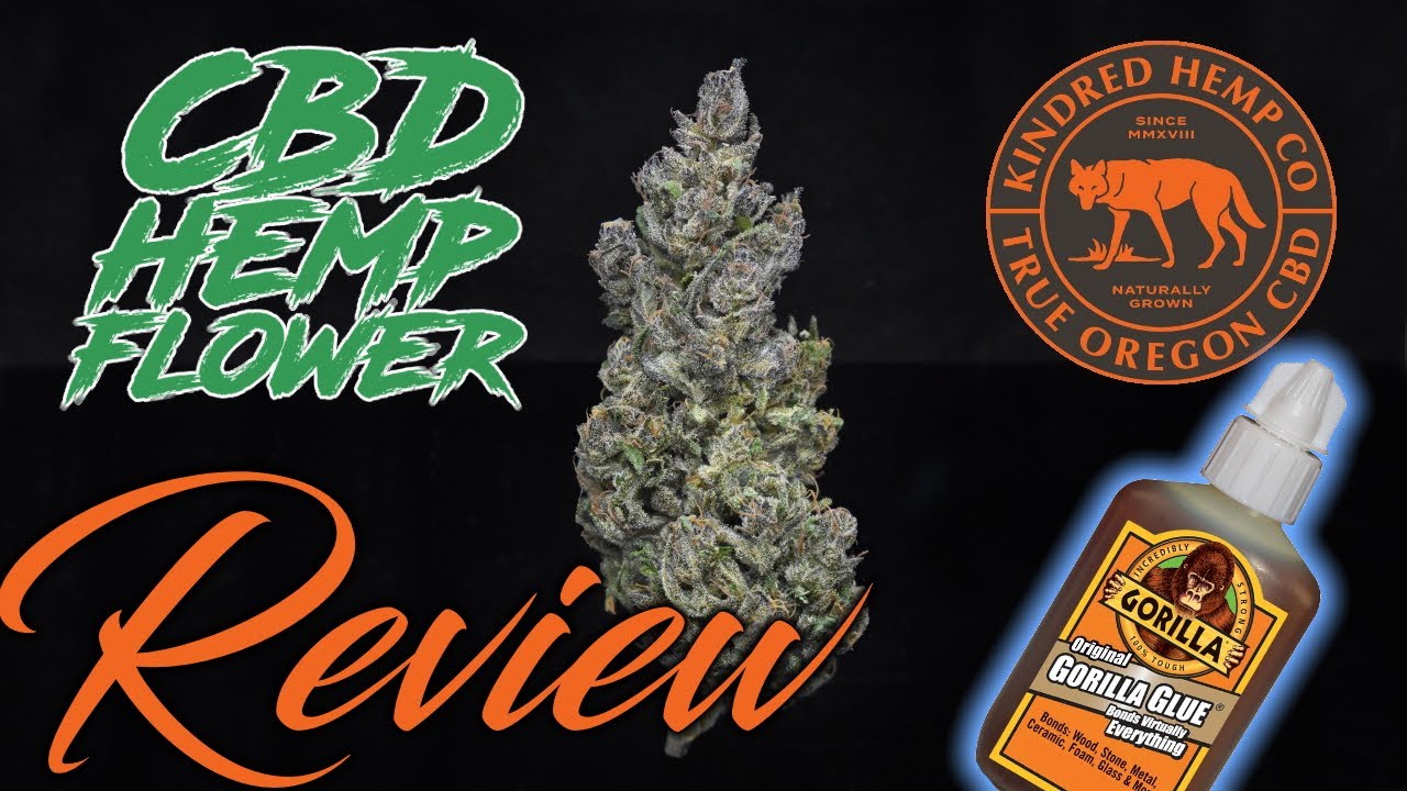 Sour Space Candy X Gorilla Glue? | Kindred Hemp Co | CBD Hemp Flower Review