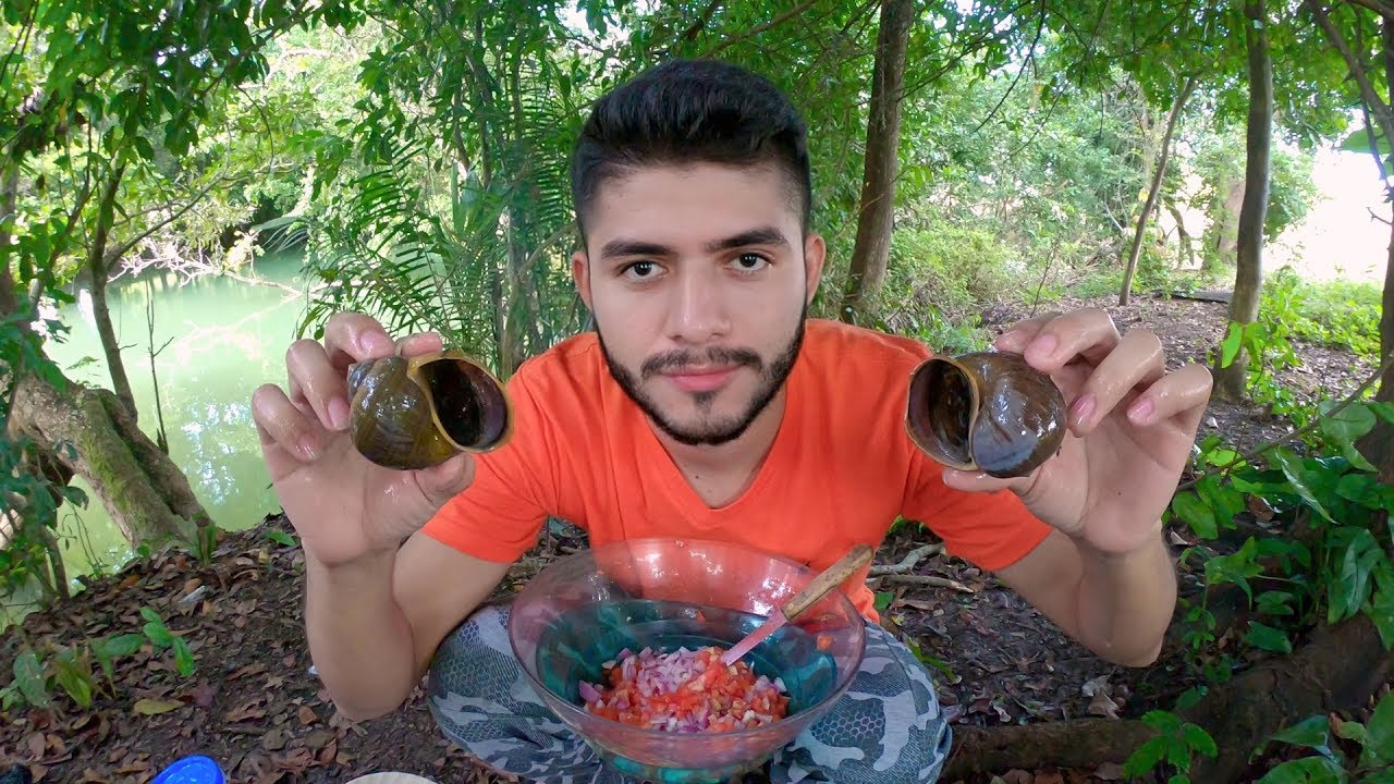 Pesca Y Cocina De Caracol En Ceviche