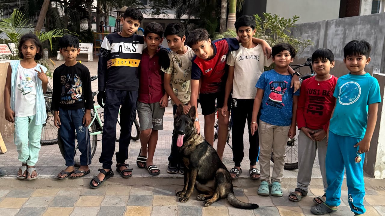 Evening Magic 🌆✨ with the Little Gang 🐾😂 | Funny Moments Live#funny 